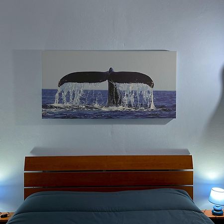 Casa Vacanze Oceano Livorno Luaran gambar
